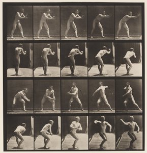 Talíř 282.Base-ball; Chytání a házení, 1885 od Eadweard Muybridge