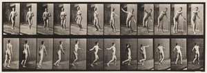 Talíř 289.Cvrček; Bowling s kulatým ramenem, 1885 od Eadweard Muybridge