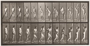 Talíř 291.Cvrček; odpalování; Drive, 1885 od Eadweard Muybridge