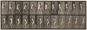Talíř 292.Cvrček; odpalování; Zpět ven, 1885 od Eadweard Muybridge