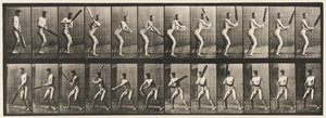 Talíř 293.Cvrček; odpalování; Zpětný řez, 1885 od Eadweard Muybridge