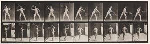 Talíř 294. Tenis na trávníku; Porce od Eadweard Muybridge