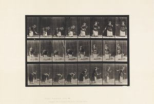 Talíř 295. Tenis na trávníku; Porce od Eadweard Muybridge