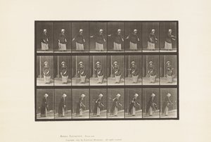 Talíř 296. Tenis na trávníku od Eadweard Muybridge