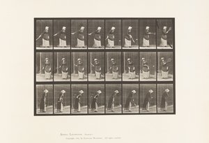 Talíř 297. Tenis na trávníku od Eadweard Muybridge
