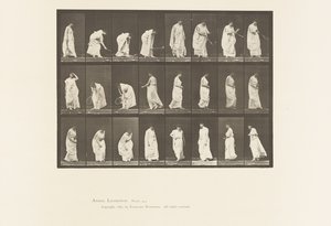 Talíř 299. Hra s míčem od Eadweard Muybridge
