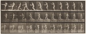 Talíř 301. Fotbal; Punt, 1885 od Eadweard Muybridge