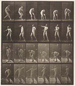 Talíř 302. Zvedat míč a hodit ho, 1885 od Eadweard Muybridge