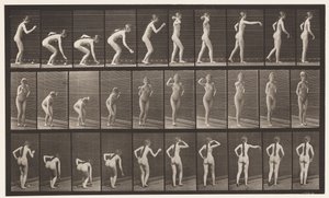 Talíř 304. Zvednutí míče a jeho házení od Eadweard Muybridge