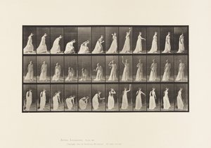 Talíř 306. Zvednutí míče a házení, 1885 od Eadweard Muybridge