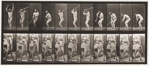 Talíř 308. Házení kladivem, 1885 od Eadweard Muybridge