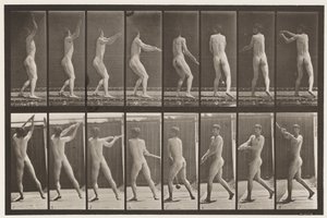 Talíř 309. Házení kladivem od Eadweard Muybridge