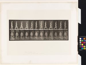 Talíř 30. Chůze, nošení vědra s vodou v každé ruce od Eadweard Muybridge