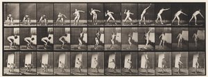 Talíř 310. Putting the Shot, 1885 od Eadweard Muybridge
