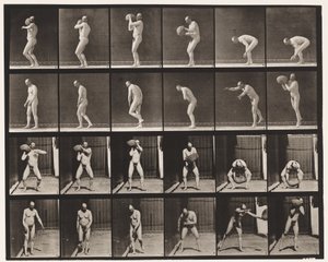 Deska 312. Těžba 75-lb skály od Eadweard Muybridge