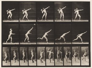 Talíř 314. Zvedání 20librového kamene od Eadweard Muybridge