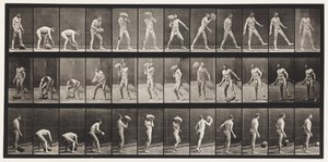 Talíř 317. Zvedání 70-lb skály od Eadweard Muybridge