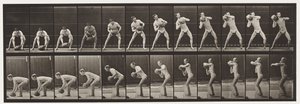 Talíř 318. Lifting a 75-lb Rock, 1872-1885 od Eadweard Muybridge