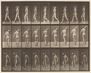 Talíř 31. Chůze, nošení 75-lb kamene na pravém rameni od Eadweard Muybridge