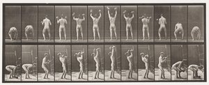 Talíř 323. Zvedání a spouštění dvou 50lb Dumb-Bells od Eadweard Muybridge