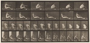 Talíř 328. Veslování od Eadweard Muybridge