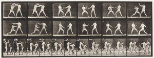 Talíř 329. Boxování; (Obuv) od Eadweard Muybridge