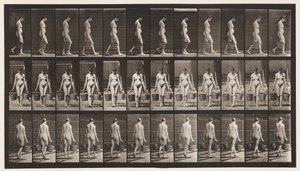 Talíř 32. Chůze, nošení vědra s vodou v každé ruce od Eadweard Muybridge