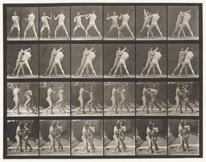 Talíř 330. Boxování; Cross Counter (boty) od Eadweard Muybridge