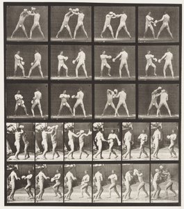 Talíř 334. Boxování; S rukavicemi (boty) od Eadweard Muybridge