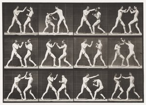 Talíř 336. Boxování; Otevřená ruka (boty) od Eadweard Muybridge