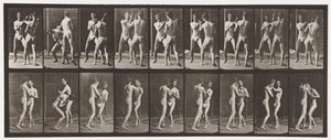 Talíř 337. Boxování; Otevřená ruka od Eadweard Muybridge