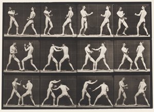 Talíř 338. Boxování; Otevřená ruka (boty) od Eadweard Muybridge
