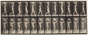Talíř 33. Chůze, 14-lb. Koš na hlavě, ruce zdvižené, 1872-1885 od Eadweard Muybridge