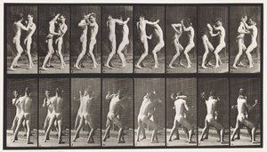 Talíř 341. Boxování; Otevřená ruka od Eadweard Muybridge