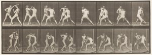 Talíř 342. Boxování; Otevřená ruka, 1872-1885 od Eadweard Muybridge