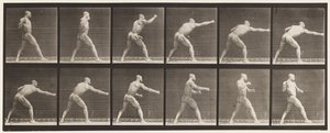 Talíř 344. Úder (pravá ruka) od Eadweard Muybridge