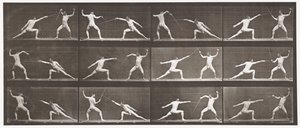 Talíř 349. Šerm, 1872-1885 od Eadweard Muybridge