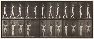 Talíř 34. Chůze od Eadweard Muybridge