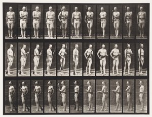 Deska 351. Opravte a uvolněte bajonety, 1872-1885 od Eadweard Muybridge