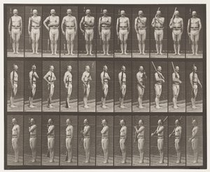 Talíř 352. Ramenní, řádové a nosné paže od Eadweard Muybridge