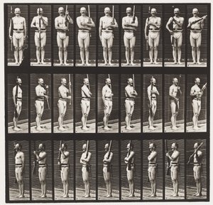 Talíř 353. Opěrná ramena a port pro zbraně, 1872-1885 od Eadweard Muybridge