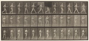 Talíř 359. Nabíjecí bajonet, 1872-1885 od Eadweard Muybridge