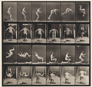Talíř 363. Běžící salto, 1885 od Eadweard Muybridge
