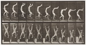 Talíř 368. Akrobat, Sestupné schody na rukou od Eadweard Muybridge