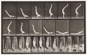 Talíř 372. Acrobat, horizontální lis nahoru od Eadweard Muybridge