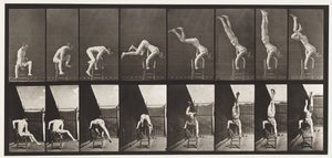 Talíř 373. Acrobat, stiskněte nahoru ze židle od Eadweard Muybridge