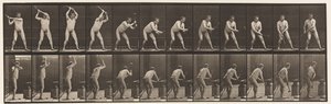 Talíř 376. Kovář, Utloukání na kovadlinu, Dvě ruce, 1872-1885 od Eadweard Muybridge
