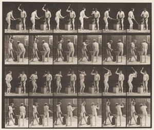 Talíř 377. Kovář, Dva modely, Kladivo na Advil, 1872-1885 od Eadweard Muybridge