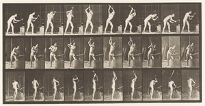 Talíř 378. Kovář, kladivo na kovadlinu, dvě ruce od Eadweard Muybridge