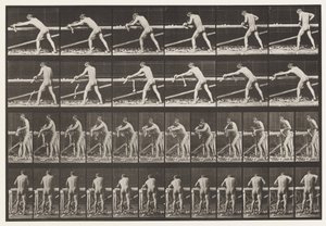 Talíř 379. Tesař, Hoblování desky, 1872-1885 od Eadweard Muybridge